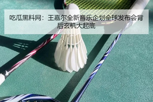 chi-gua-hei-liao-wang-wang-jia-er-quan-xin-yin-yue-qi-hua-quan-qiu-fa-bu-hui-bei-hou-xuan-ji-da-qi-di-2-924.jpg